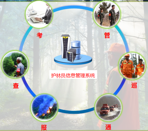 護林員管理系統(tǒng).png